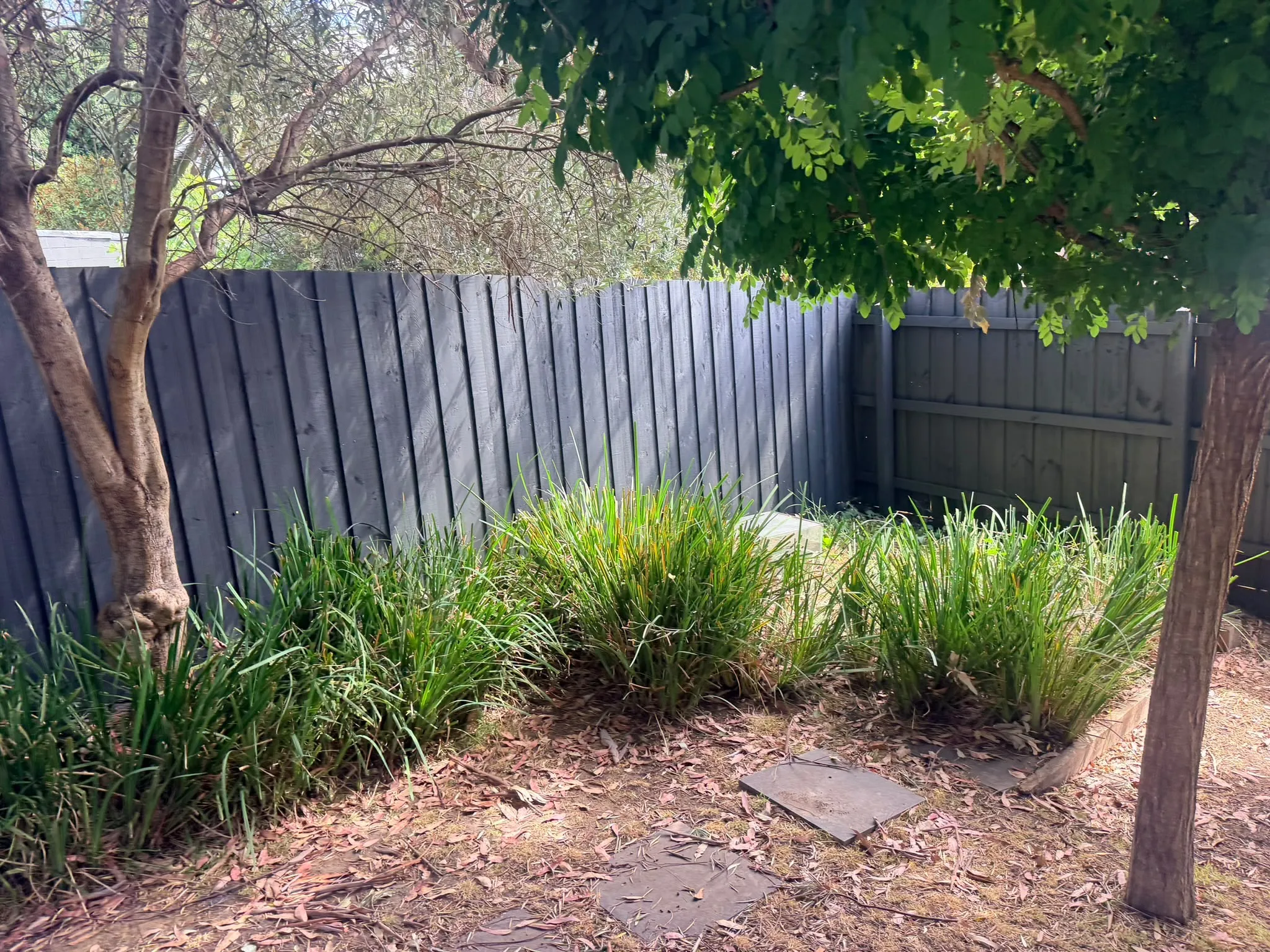 A long fence painted charcoal behind a garden bed
