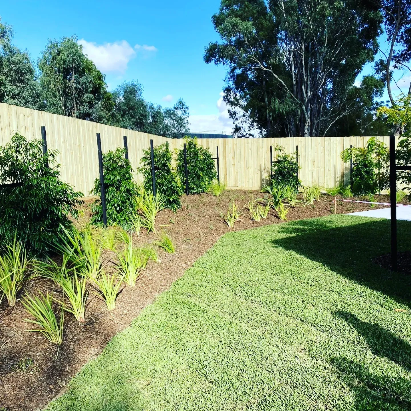 A new bare wood fence