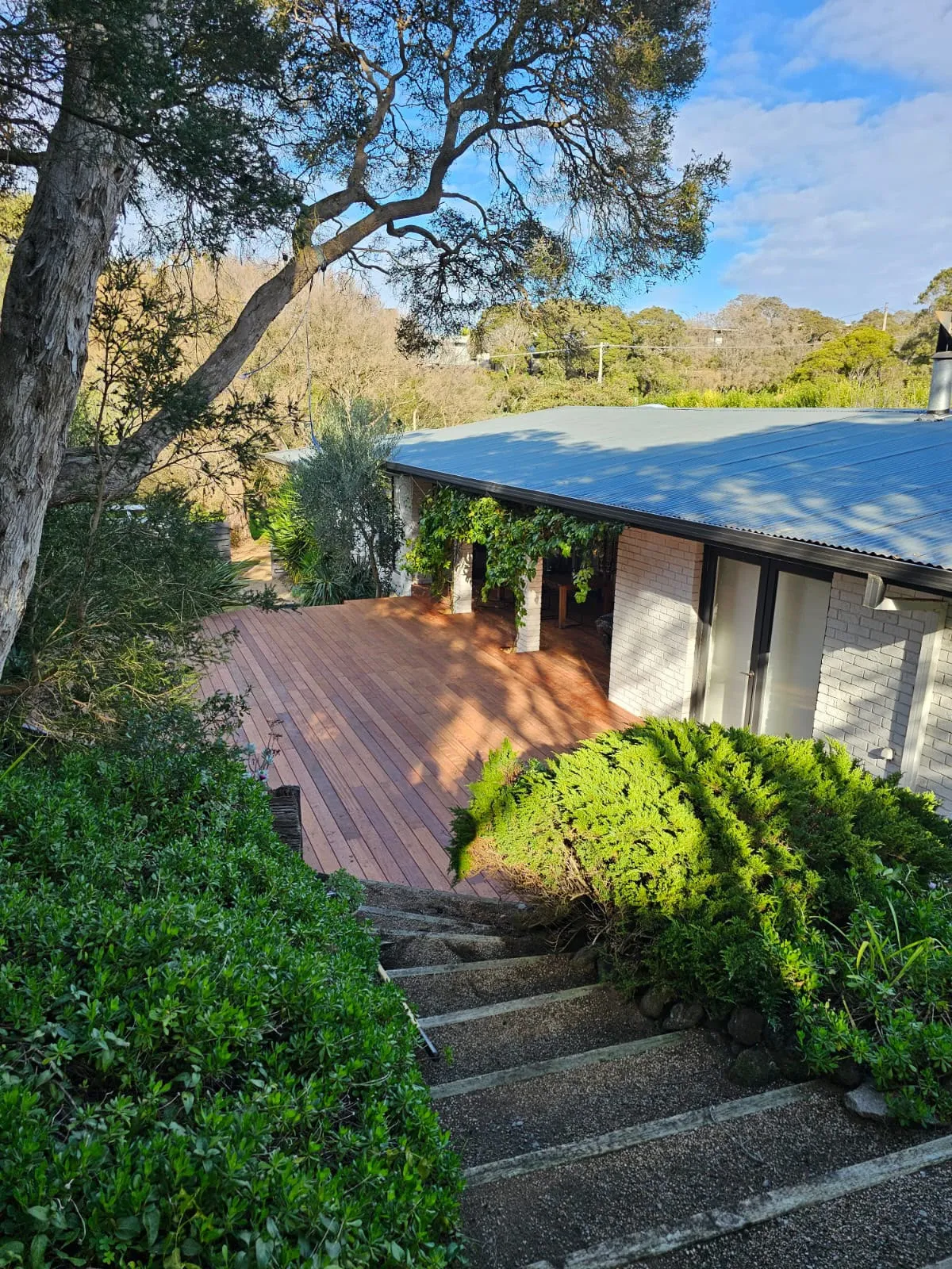 A stained wood path and stairs through a garden