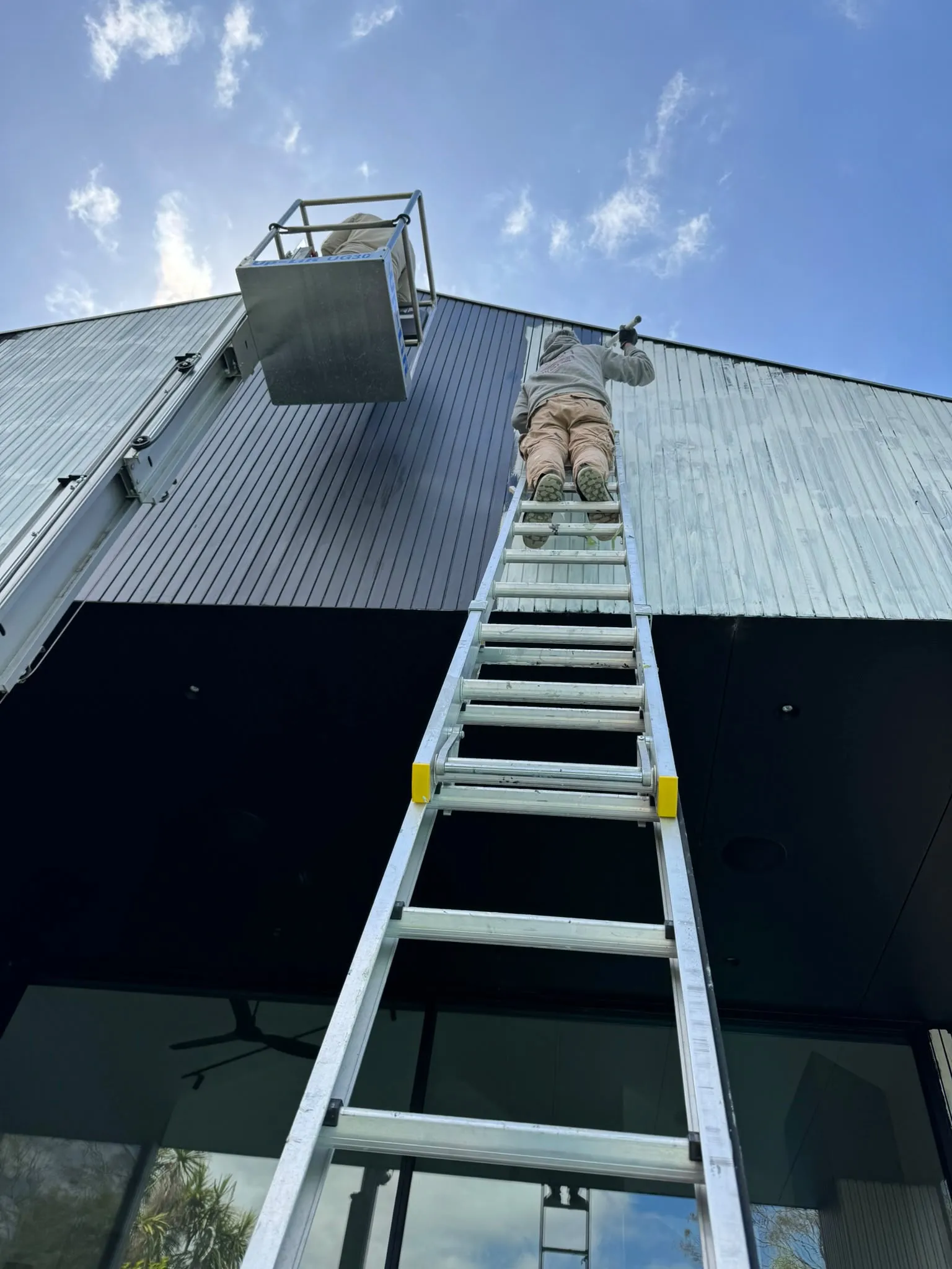 A ladder against a dark-painted two-story wall